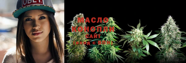 сатива Аркадак