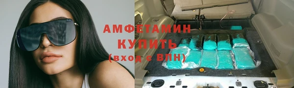 сатива Аркадак