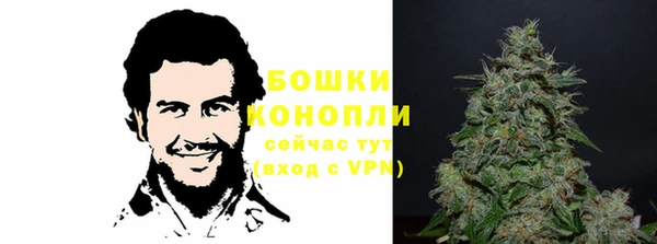 тгк Арсеньев