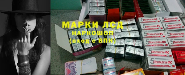 сатива Аркадак
