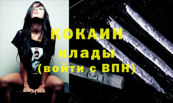 сатива Аркадак