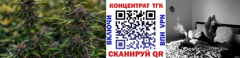 Купить где Болгар Дистиллят ТГК концентрат